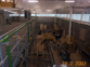 General Designing, Constraction. Client: KPO b.v., Baker - Hughes (USA). 